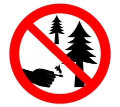 Знаки охорони природи в лісі